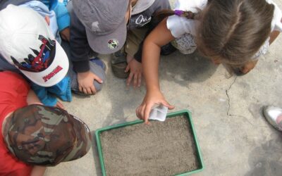 ¿POR QUÉ TRABAJAR LA EDUCACIÓN AMBIENTAL?