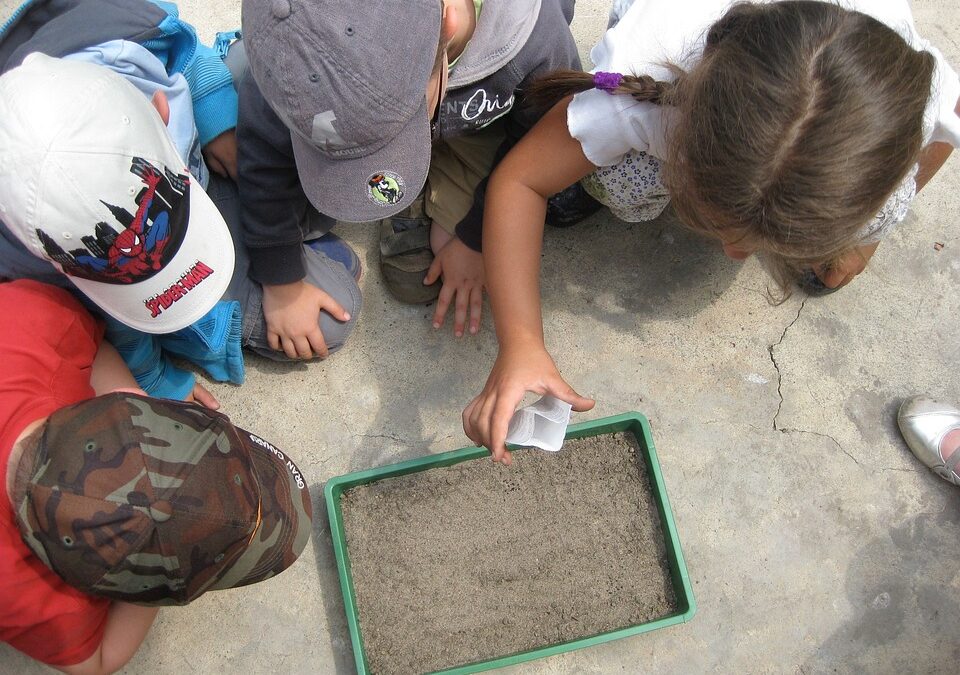 ¿POR QUÉ TRABAJAR LA EDUCACIÓN AMBIENTAL?