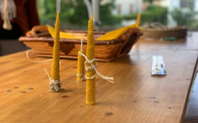 Inna Global presente en la II Exposición de Ganado de Miraflores de la Sierra