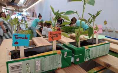 Los talleres medioambientales y el fomento de la conciencia ecológica