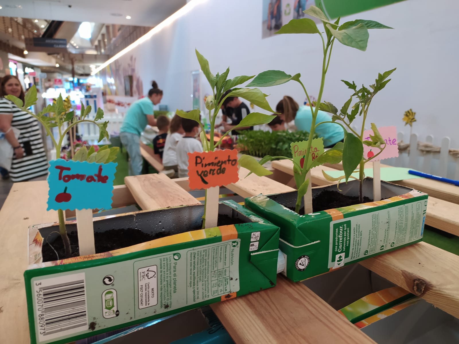 Huerto Urbano taller de huerto urbano con materiales reciclados