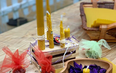 Talleres Medioambientales de Inna Global:  sembrando conciencia para un futuro sostenible