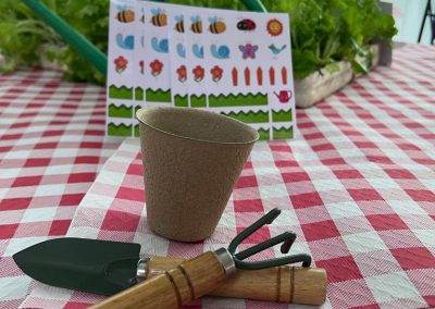 Talleres de Jardinería y Huerto para Colegios